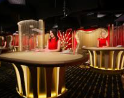 关于MG真人视讯网址的文章